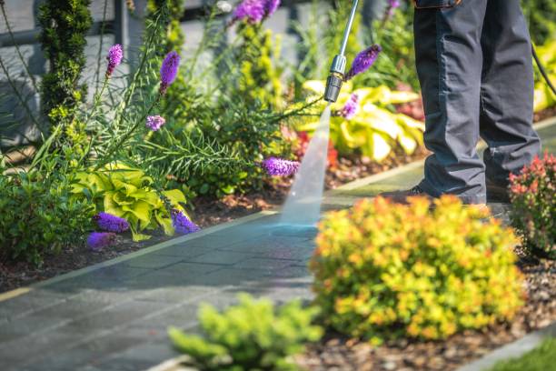 Professional Pressure Washing Services in Fullerton, CA
